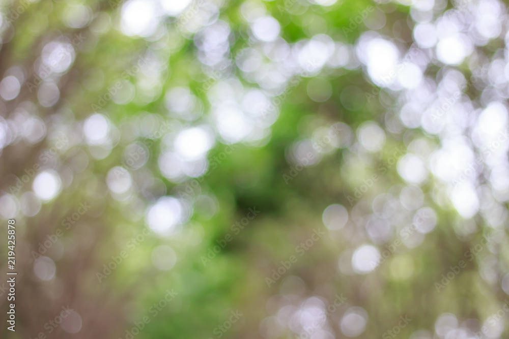 Wall mural blurred of green bokeh on tree background