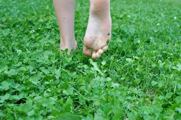 Foots of a children, viewed from the back, walking in the green grass field