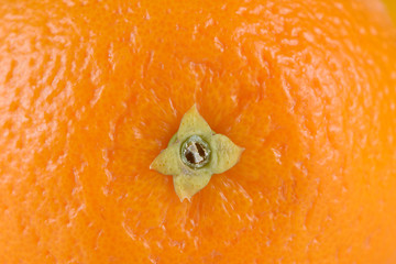 Close up of grapefruit or orange texture,Blur around.