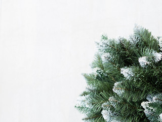 christmas holiday festive background. natural evergreen fir tree in the right corner on the white backdrop. copyspace concept