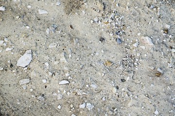 The texture of the sand with small stones