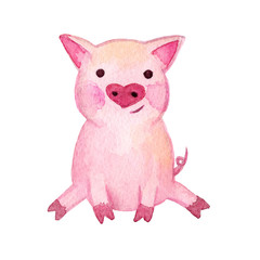 Obraz na płótnie Canvas Watercolor Pig. 2019 Chinese New Year of the Pig. Christmas greeting card. Isolated on white background. Cute watercolor illustration. 