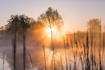 Fototapeta na wymiar Sunrise Light Piercing Through Mist and Trees and Reflecting in Lake.