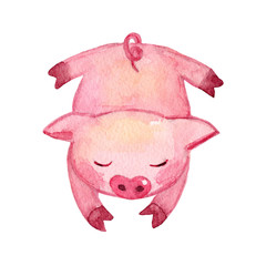 Obraz premium Watercolor Pig. 2019 Chinese New Year of the Pig. Christmas greeting card. Isolated on white background. Cute watercolor illustration. 