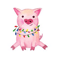 Fototapeta premium Watercolor Pig. 2019 Chinese New Year of the Pig. Christmas greeting card. Isolated on white background. Cute watercolor illustration. 