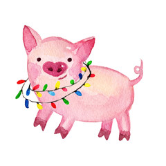 Watercolor Pig. 2019 Chinese New Year of the Pig. Christmas greeting card.   Isolated on white background. Cute watercolor illustration. 