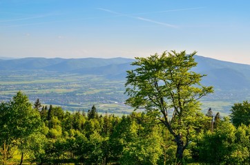Fototapeta premium Spring mountain landscape. A beautiful view of the green hills.