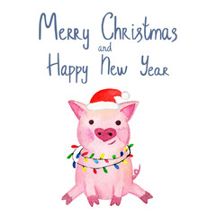 Fototapeta premium Watercolor Pig. 2019 Chinese New Year of the Pig. Christmas greeting card. Isolated on white background. Cute watercolor illustration. 