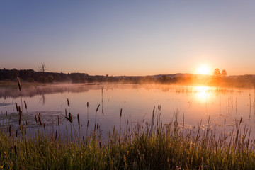 Fototapeta na wymiar Misty Golden Sunrise Reflecting over Lake in Spring.