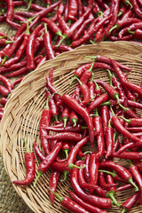 red hot chili peppers