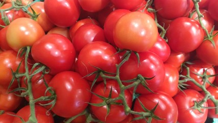 Tomaten