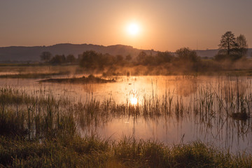 Obraz na płótnie Canvas Misty Golden Sunrise Reflecting over Lake in Spring.