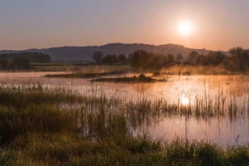 Misty Golden Sunrise Reflecting over Lake in Spring.