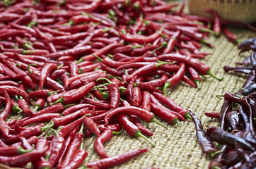 red hot chili peppers