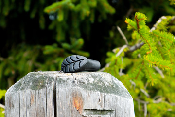 Wandern - Fuß vom Wanderstock auf einem Holzstück