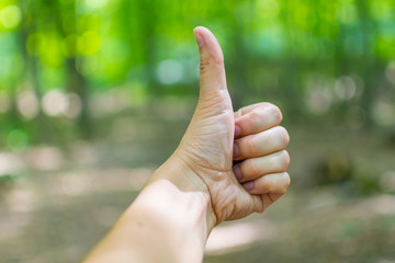 hand shows class. in a forest