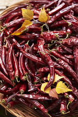 red hot chili peppers