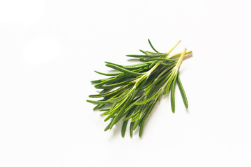 food herbal concept organic Rosemary on white background with copy space