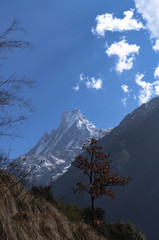 Annapurna Mountainrange Nepal