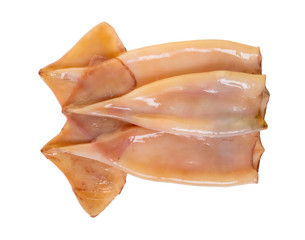raw squid close-up