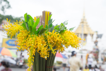The Globba Schombugkii flowers with candle and joss stick