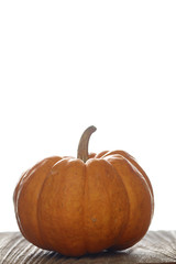 A Pumpkin on table