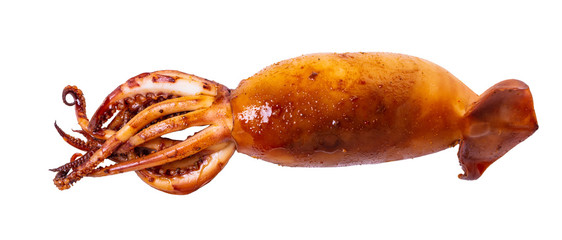 cooked squid close-up