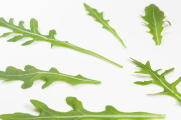 Macro photo of fresh green leaves of italian arugula isolated on white plate. Rucola salad. Organic healthy diet food. Horizontal color photography.