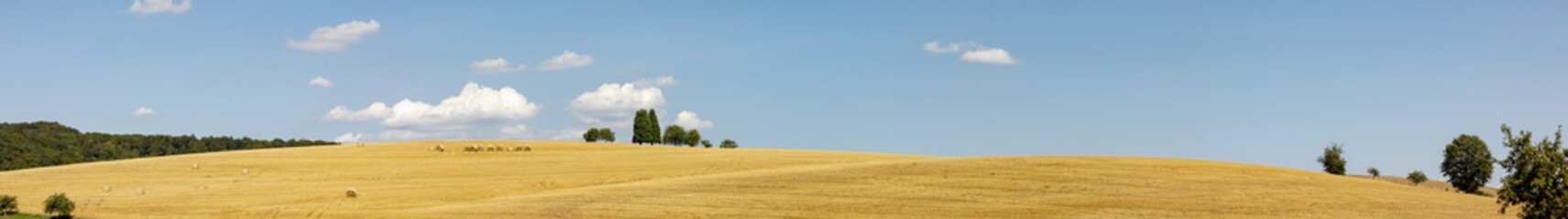 Obraz premium rural landscape with field after harvest and bale of straw