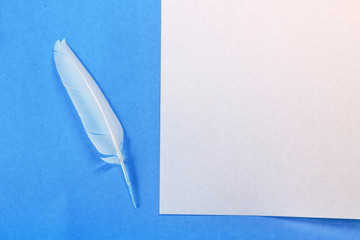 white feather and paper on a blue background