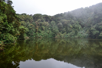 Obraz premium forest reflected in the lagoon
