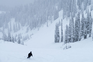 going downhill in fernie