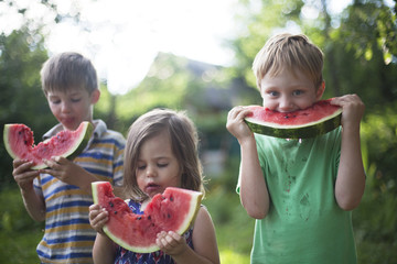 Cheerful happy children eat watermelon in the garden