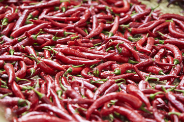 red hot chili peppers