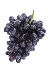 Branch of black ripe grapes on white background