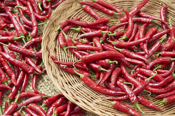 red hot chili peppers