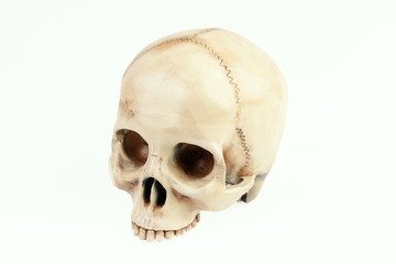 isolated artificial and painted human skull on a white background