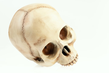 isolated artificial and painted human skull on a white background