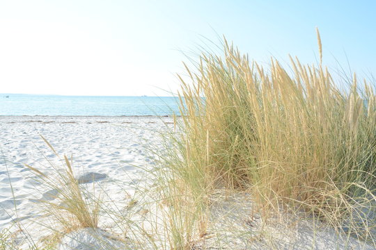 Sommerbrise am Ostseestrand