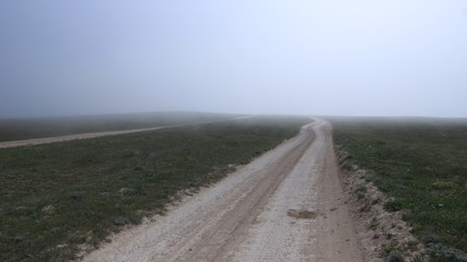 Дорога. Степь. Туман.