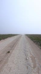 Naklejka premium Дорога. Степь. Туман.