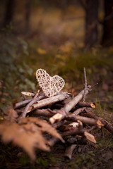 Cozy autumn picnic in the forest, a basket with sweets and a blanket
