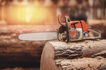 Close-up of chainsaw lies on sawn wood sawmill. Concept logging industry - obrazy, fototapety, plakaty
