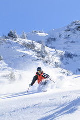 Naklejka na ściany i meble genußvoll skifahren im Tiefschnee