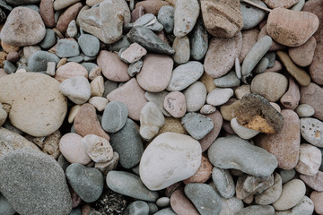 Detail of stones from a beach