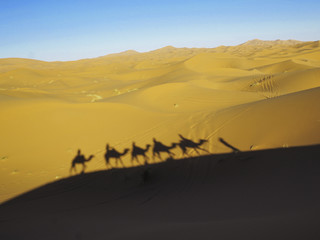 Fototapeta na wymiar Camels riding in the Sahara Desert in Morocco