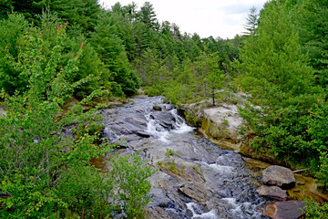 River in the forest. Pisgah National Park, North Carolina. Beautiful landscape in mountain. 