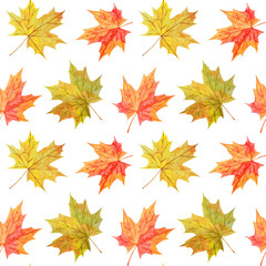 Fototapeta premium Colorful seamless pattern with watercolor autumn maple leaves on white background.