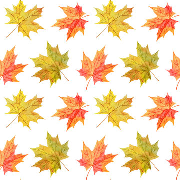 Colorful seamless pattern with watercolor autumn maple leaves on white background.