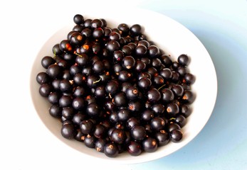 Plate of black currants